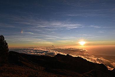 《宝可梦 朱＆紫》发布1.1.0更新 就游戏性能向玩家道歉